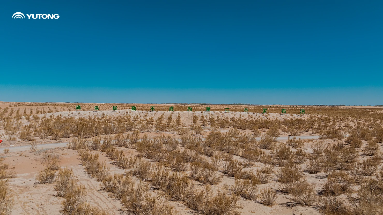 Yutong Launches 2026 Net Zero Forest Program: Bringing 44,218 Trees to Gansu in the First Phase