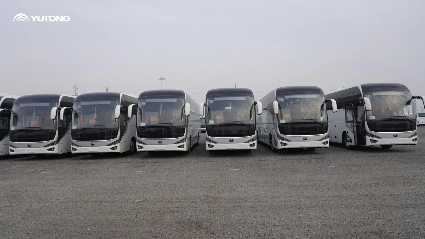 Yutong C13PRO Buses Shipped to Saudi Arabia, Strengthening Premium Intercity Transport Yutong C13PRO Buses Shipped to Saudi Arabia, Strengthening Premium Intercity Transport